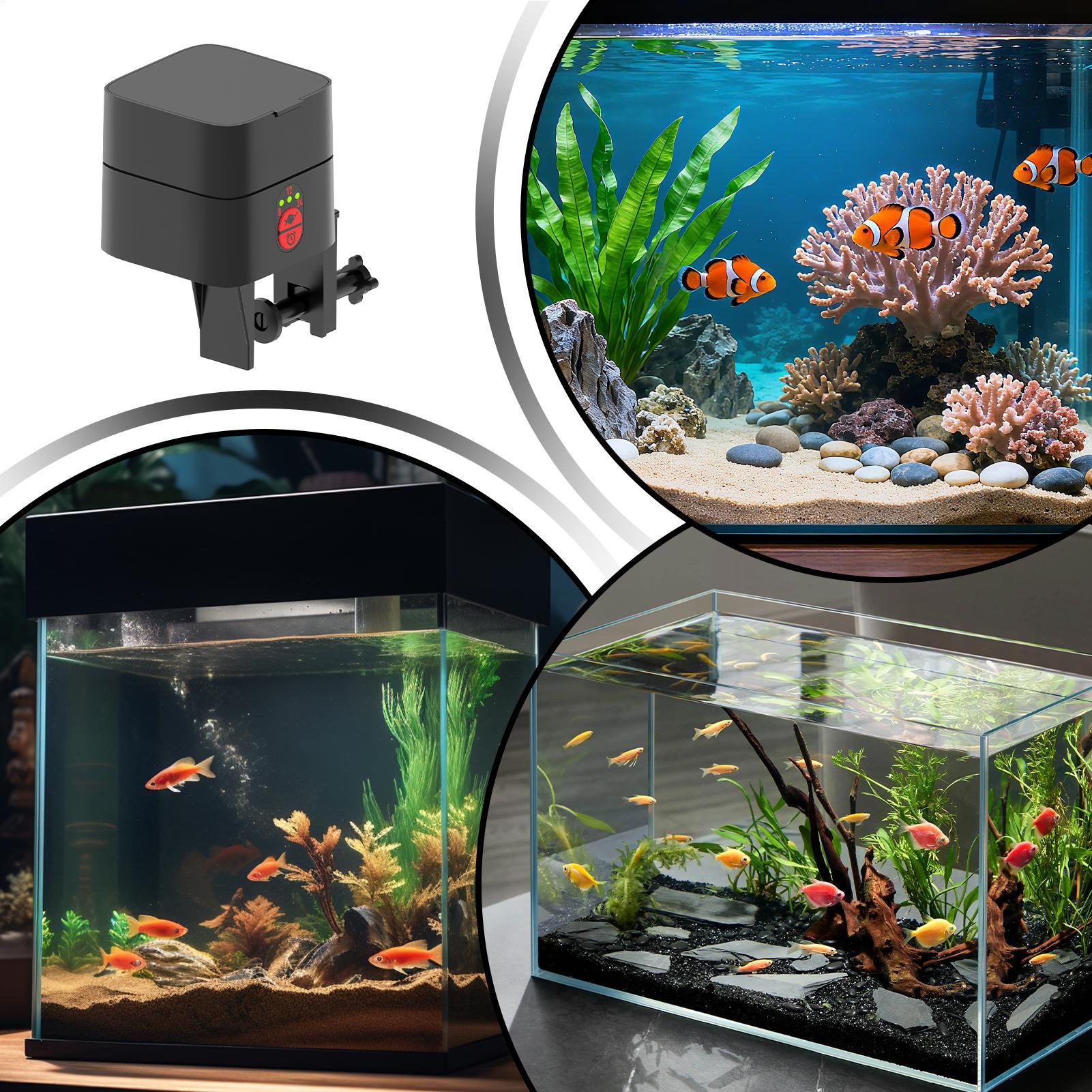 Automatischer Fischfutterspend – Fishing Line Dispenser Bewertung und Preis